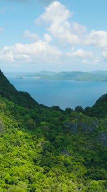 Cadlao Adası üzerinde muhteşem kireç taşı ve yeşil ağaçlar. El Nido. Palawan, Filipinler. Dikey görünüm.