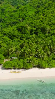 Mercan resifleri ve beyaz kumsallı yeşil suları olan Cobrador Adası. Romblon, Filipinler. Dikey görünüm.