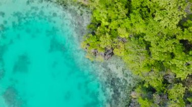 Coron, Palawan 'da kireç taşı taşlı turkuaz bir göl ve yeşil bitkiler. Filipinler.