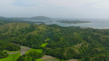 Yeşil tepeler ve çeltik tarlaları, hava manzarası. Santa Fe, Tablas, Romblon. Filipinler.