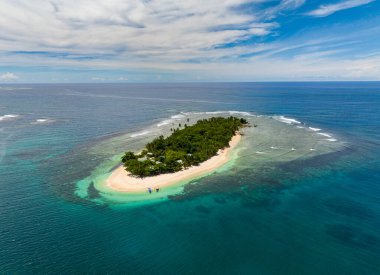 Talisay ağaçlarıyla dolu güzel beyaz kumsal. Sahildeki mercanlar. San Victor Adası. Mindanao, Filipinler. Seyahat ve yaz konsepti.