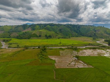 Dağ yamaçlarının ve çeltik tarlalarının ve nehrin olduğu tarım arazilerinin en üst manzarası. Mindanao, Filipinler.