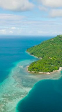 Tropik adadaki turkuaz su ve mercanların drone görüntüsü. Punta Corazon, Romblon, Filipinler 'de. Dikey görünüm.