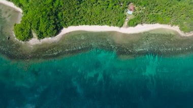 Mercan resifli beyaz kum ve turkuaz deniz suyu. Santa Fe, Tablas, Romblon. Filipinler.