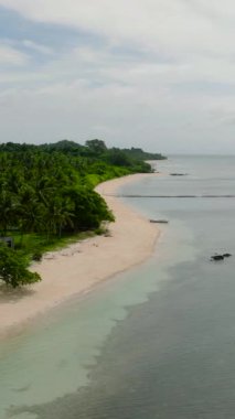 Santa Fe 'deki sahil beldesinde beyaz kumsalda hindistan cevizi ağaçları ve temiz suyun üzerinde bir tekne var. Masalar, Romblon. Filipinler. Dikey görünüm.