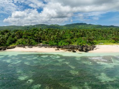 Carabao Adası 'nda palmiye ağaçları olan sahilin manzarası. Mavi gökyüzü ve bulutlar. Romblon. Filipinler.