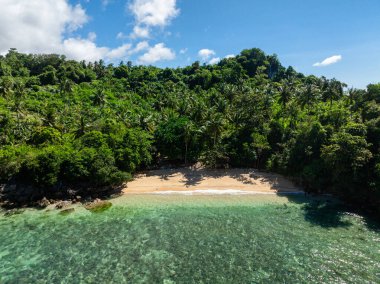 Hindistan cevizi ağaçları ve dalgaları olan küçük kumsal manzarası. Romblon, Romblon. Filipinler.