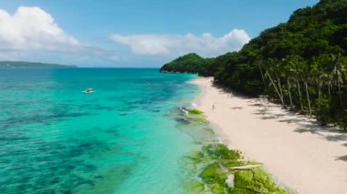 Hindistan cevizi ağaçları ve kumsalda dalgalar olan deniz kabuğu kumsalı. Boracay Adası. Filipinler.