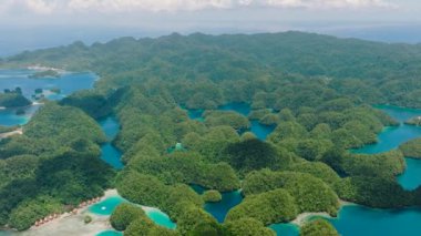 Sohoton Koyu ve Yeşil Göl 'ün güzel manzarası. Yağmur ormanları ve göl suyu. Surigao del Norte. Mindanao, Filipinler.