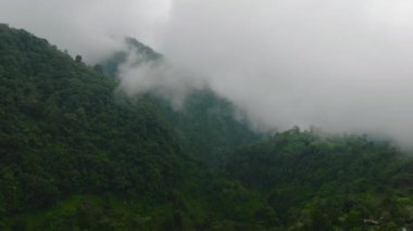 Dağlardaki sis ve bulutlarla kaplı tropikal orman ekosisteminin havadan görünüşü. Mindanao, Filipinler. Çevre kavramı.