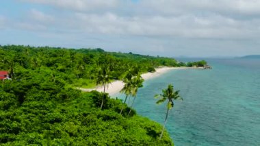 Romblon, Carabao Adası 'nda hindistan cevizi ağaçları ve turkuaz suyu olan tropik bir sahil. Filipinler.