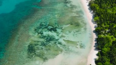 El Nido 'da saydam suları ve mercanları olan kumsal. Palawan, Filipinler.