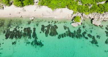 Beyaz kumsal ve Carabao Adası 'nda okyanus dalgaları olan kayalar. San Jose, Romblon. Filipinler.