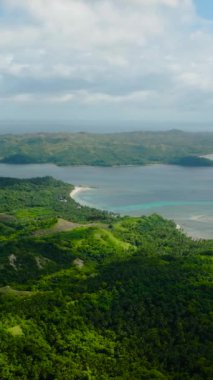 Yağmur ormanı ve plajı olan tropik bir ada. Santa Fe, Tablas, Romblon. Filipinler. Dikey görünüm.