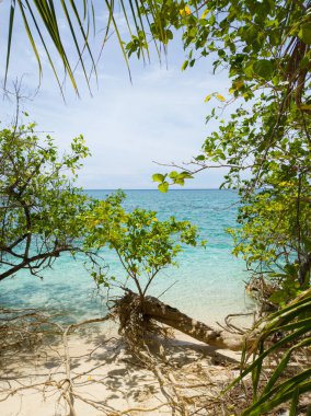 Bitkileri ve beyaz kumları olan tropik bir sahil. Mantigue Adası. Camiguin, Filipinler.