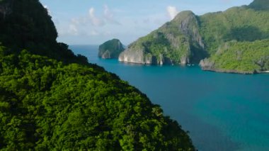 Adanın üzerinde yeşil bitkiler. Tekneleri ve plajı olan Cadlao Adası. El Nido, Palawan. Filipinler.