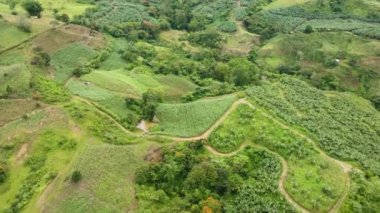 Mısır tarlaları ve muz ekili dağ manzarası. Mindanao, Filipinler.