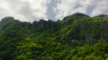 Yeşil ağaçları ve bitkileri olan bir dağ. El Nido, Palawan 'da. Filipinler.
