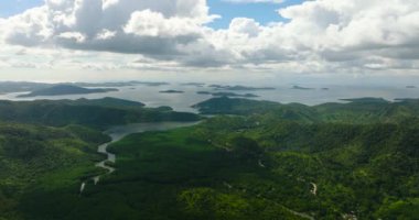 Tropikal adada yeşil bitkilerle birlikte Mangrove ormanı. Busuanga, Palawan. Filipinler.