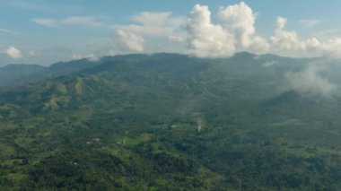Dağlık bölgede yeşil ağaçları olan tropik bir orman. Mavi gökyüzü ve bulutlar. Mindanao. Filipinler. Hava görünümü.
