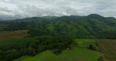 Yağmur ormanları ve tarım arazileri olan dağ tepeleri. Mindanao, Filipinler.