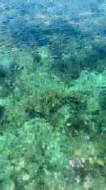 Filipinler 'deki mercanlarla birlikte yeşil deniz suyunun üzerinde güneş ışığı. Dikey görünüm.