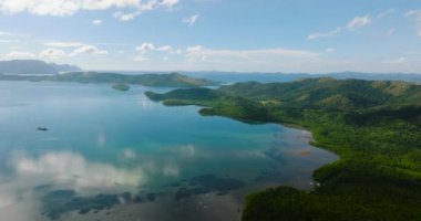 Coron 'daki mangrov ormanının havadan görünüşü. Mavi gökyüzü ve bulutlar. Palawan 'da. Filipinler.