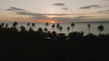 Günbatımının deniz manzarası, hindistan cevizi ağaçlarının arkası. Santa Fe, Tablas, Romblon. Filipinler.