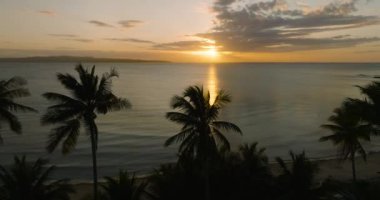 Hindistan cevizi ağaçlarının günbatımı arkaplanlı manzarası. Santa Fe, Tablas, Romblon. Filipinler.