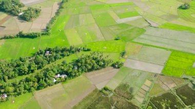 Yeşil çeltik tarlaları ve evleri olan tarım arazisi. Tablolar Adası. Romblon, Filipinler.
