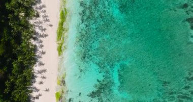 Boracay 'daki turkuaz suları temizleyin. Puka Shell Sahili 'nde beyaz kum ve hindistan cevizi ağaçları. Filipinler.