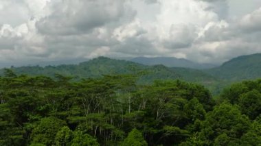 Dağ yamaçlarının tepesi yağmur ormanları ve ormanlarla kaplı. Mavi gökyüzü ve bulutlar. Mindanao, Filipinler.