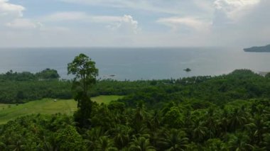 Yeşil bitkilerin, mavi gökyüzünün ve mavi denizin üzerindeki bulutların bulunduğu tropik bir orman. Mindanao, Filipinler.