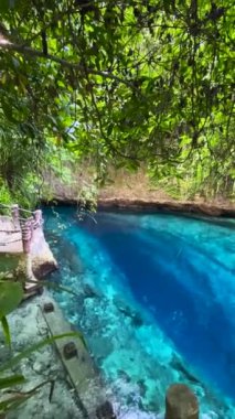 Temiz mavi suyu olan Hinatuan Büyülü Nehri. Surigao del Sur, Filipinler. Dikey görünüm.