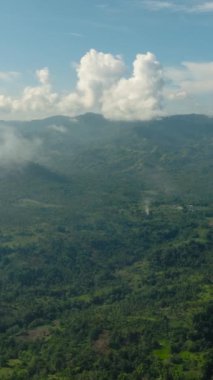 Dağlık bölgede yeşil ağaçları olan tropik bir orman. Mavi gökyüzü ve bulutlar. Mindanao. Filipinler. Hava görüntüsü. Dikey görünüm.