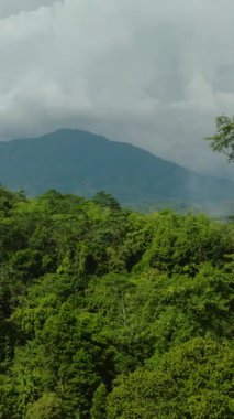 Yukarıdan manzara: Tropikal dağ vilayetindeki ormanlık ve ormanlı manzara. Mindanao, Filipinler. Dikey görünüm.