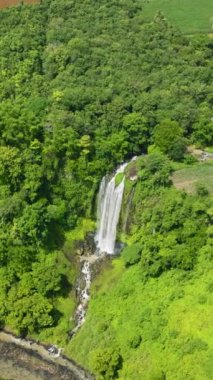 Yeşil orman ve tarım arazileriyle çevrili bir şelale. Lasang Şelalesi. Mindanao, Filipinler. Bukidnon. Dikey görünüm.