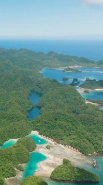 Sohoton Koyu 'ndaki sahil şeridi. Deniz Burnu. Bucas Grande Adası. Mindanao, Filipinler. Dikey görünüm.