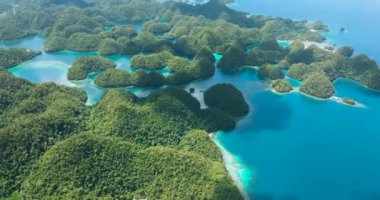 Sohoton Koyu 'nun lagünlü ve plajlı insansız hava aracı görüntüsü. Surigao del Norte, Filipinler.