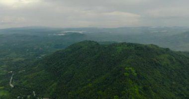 Yeşil orman, orman ve bitki örtüsü olan tropikal dağın insansız hava aracı görüntüsü. Mindanao, Filipinler.