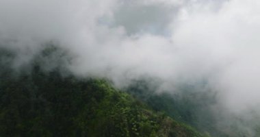 Sisli orman ve dağın tepesindeki bulutlar. Tropik Rianforest ekosistemi, doğa arka plan görüntüleri. Mindanao, Filipinler.