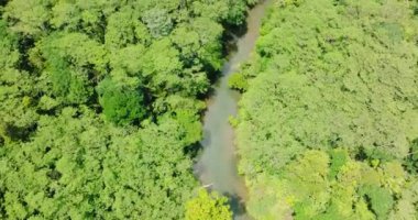Yukarıdan bakıldığında: Filipinler 'de nehir bulunan dağların tropik manzarası. Mindanao..