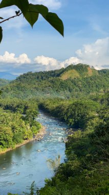 Dağ nehri ve yeşil orman. Bulutlu mavi gökyüzü. Mindanao, Filipinler.