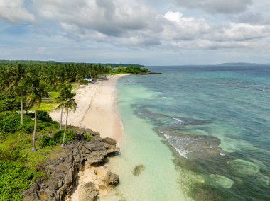 Carabao Adası 'ndaki palmiye ağaçlarının arasından beyaz sahil manzarası. Romblon. Filipinler.