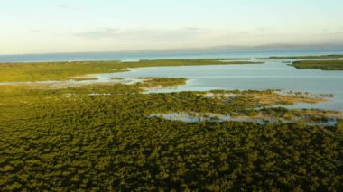 Yağmur ormanları olan tropik bir manzara. Olango Adası 'ndaki yeşil mangrovlar. Lapu-Lapu, Filipinler. Cebu..