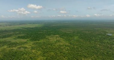 Mavi gökyüzü altında yeşil orman ve sulak alanlar ve Filipinler 'de bulutlar. Mindanao..
