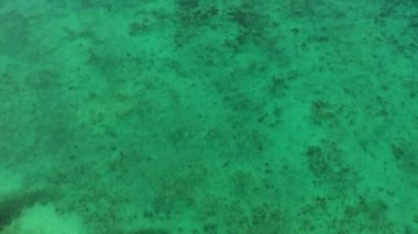 Mercan resifli turkuaz okyanus suyu. Temiz suyla deniz manzarası. Bantayan, Cebu, Filipinler,