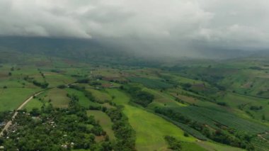 Pirinç tarlaları ve muz tarlaları. Dağdaki çiftçi köyü. Mindanao, Filipinler.