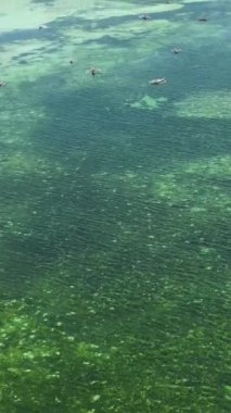 Yeşil deniz suyunun mercanlar ve balıkçı tekneleriyle uzaktan kumandalı görüntüsü. Bantayan Adası 'ndaki beyaz kumlu plajlar. Cebu, Filipinler. Dikey görünüm.