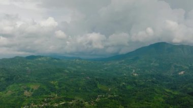 Dağ yolu boyunca yağmur ormanları ve ormanlar boyunca uzanır. Mindanao, Filipinler.